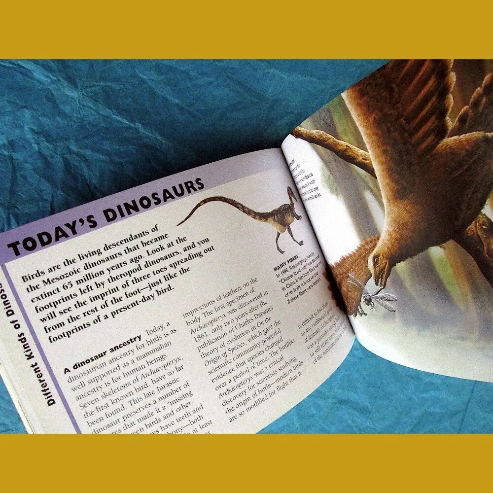 Book - The Little Guides: Dinosaurs, ed. by Dr. Paul Willis - Picture 9 of 16